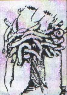 SELDAormanlıoğlu